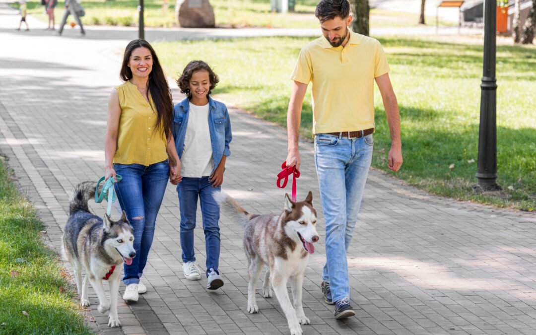 El auge de las apps de citas para mascotas: beneficios, público objetivo y oportunidades de negocio